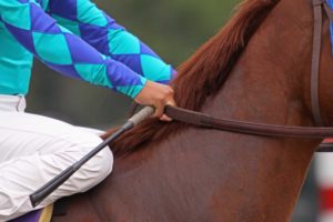 Preakness Stakes Tickets