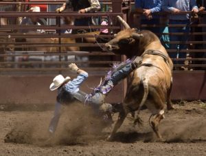 World's Toughest Rodeo Tickets