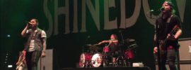 Shinedown Tickets