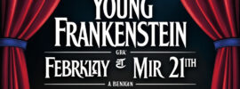 Young Frankenstein Theatre Tickets on Sale