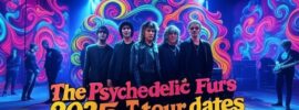 Cheap The Psychedelic Furs Tickets Online